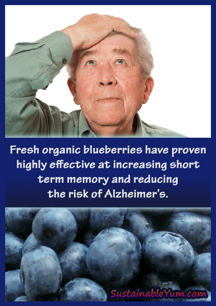 Blueberries protect against Alzheimer's