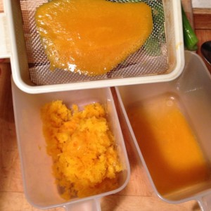 sieve waste and juice from juicing a small pumpkin