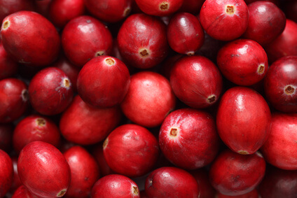 Cranberries: THe Miracle Food of the Holiday Season